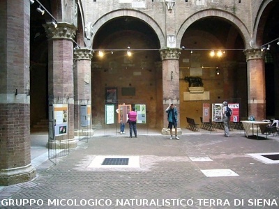 Mostra Poster 4