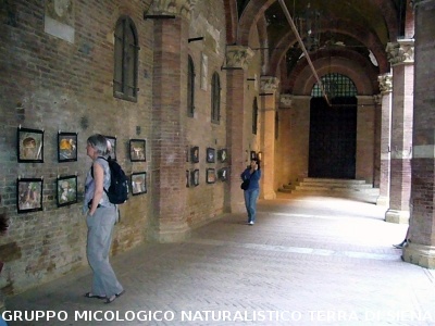 Mostra Poster 5