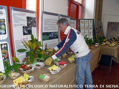 XIV^ Mostra Micologica Senese