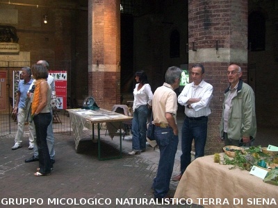 Mostra Poster 6