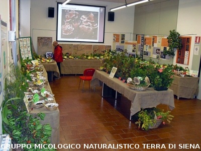 XIV^ Mostra Micologica Senese