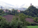 Primo Stage micologico
