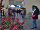 Escursione al Lago di Bolsena