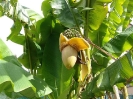 Escursione naturalistica