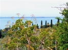 Escursione naturalistica