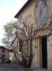 Escursione 1 sulla Montagnola Senese