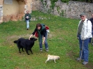 Escursione 2 sulla Montagnola Senese
