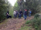 Escursione 2 sulla Montagnola Senese