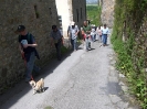 Escursione 4 della Montagnola Senese