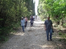 Escursione 4 della Montagnola Senese