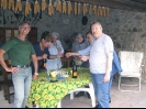 Escursione 4 della Montagnola Senese