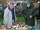 Escursione Micologica in loc. Monticiano