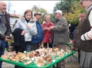 Escursione Micologica in loc. Monticiano