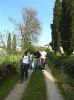 Escursione 1 sulla Montagnola Senese