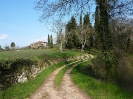 Escursione 1 sulla Montagnola Senese