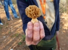 Escursione 1 sulla Montagnola Senese