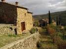 Escursione micologica