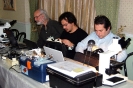 XXIX Comitato Scientifico