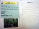 XXIX Comitato Scientifico