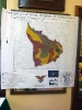 XXIX Comitato Scientifico