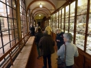XXIX Comitato Scientifico