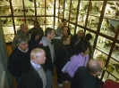 XXIX Comitato Scientifico