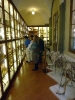 XXIX Comitato Scientifico