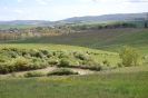 Le Crete Senesi