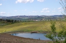 Le Crete Senesi