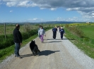 Le Crete Senesi