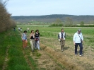 Monte Siepi e San Galgano