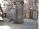 Monte Siepi e San Galgano