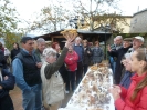 Ricerca funghi al Belagaio