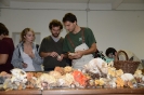 Determinazione funghi raccolti a Vallombrosa