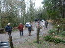A Vallombrosa alla ricerca del 