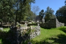 ATTIVITA'