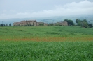 Escursione naturalistica alla Befa