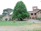 Escursione naturalistica alla Befa