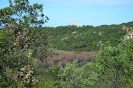 Escursione Naturalistica 5