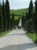 San Leonina e Mucigliani