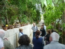 Fra le piante dell'Orto Botanico di Siena