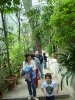 Fra le piante dell'Orto Botanico di Siena