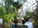 Fra le piante dell'Orto Botanico di Siena
