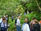 Fra le piante dell'Orto Botanico di Siena