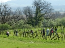 Raccolta delle erbe di campo del 29.3