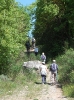 Escursione naturalistica a Badia di Coltibuono del 10.5