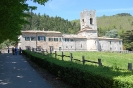 Escursione naturalistica a Badia di Coltibuono del 10.5