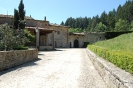 Escursione naturalistica a Badia di Coltibuono del 10.5