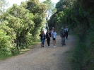 Escursione naturalistica a Cala Violina del 18.5