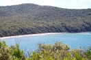 Escursione naturalistica a Cala Violina del 18.5